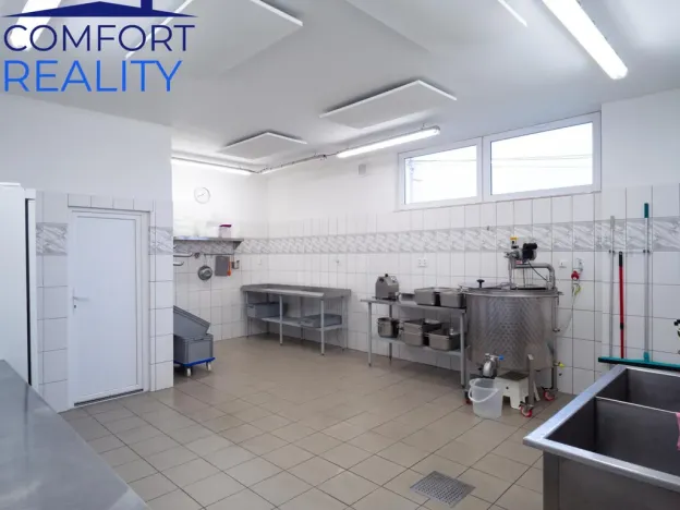 Prodej výrobních prostor, Suchdol nad Odrou - Kletné, 220 m2