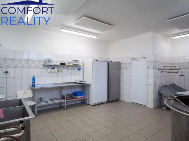 Prodej výrobních prostor, Suchdol nad Odrou - Kletné, 220 m2