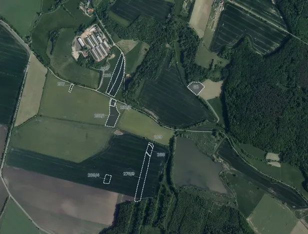 Prodej pole, Kobylnice, 45226 m2