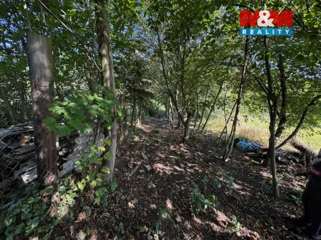 Prodej bytu 3+1, Dubá - Dřevčice, 70 m2