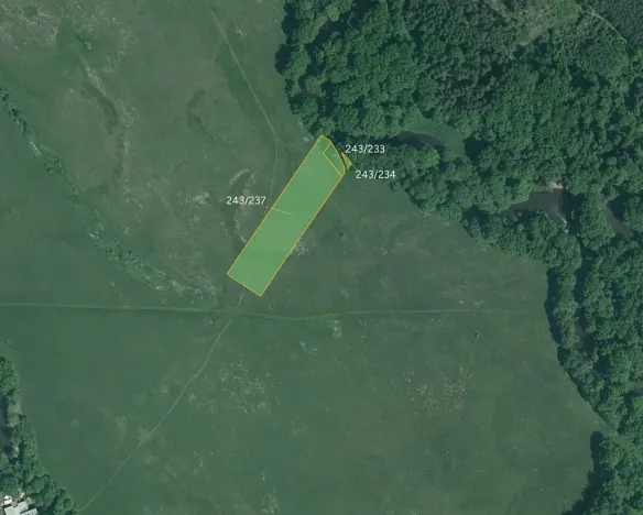 Prodej louky, Majdalena, 10797 m2