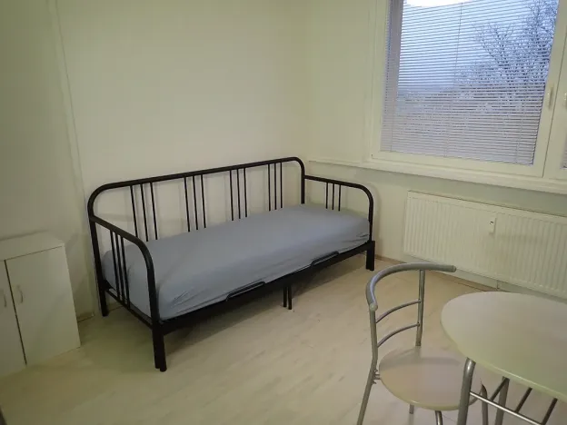 Pronájem bytu 1+kk, Liberec - Liberec I-Staré Město, Ruprechtická, 20 m2