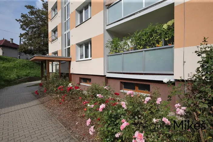 Prodej bytu 1+1, Železný Brod, Na Vápence, 41 m2