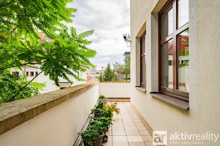 Pronájem bytu 5+kk, Praha - Vinohrady, Perucká, 180 m2