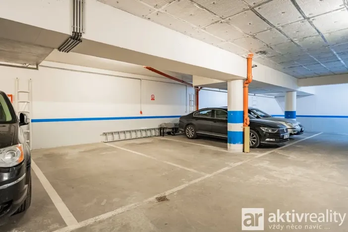 Pronájem bytu 5+kk, Praha - Vinohrady, Perucká, 180 m2