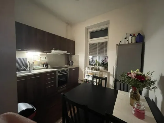 Pronájem bytu 1+1, Ústí nad Labem - Ústí nad Labem-centrum, Thomayerova, 38 m2