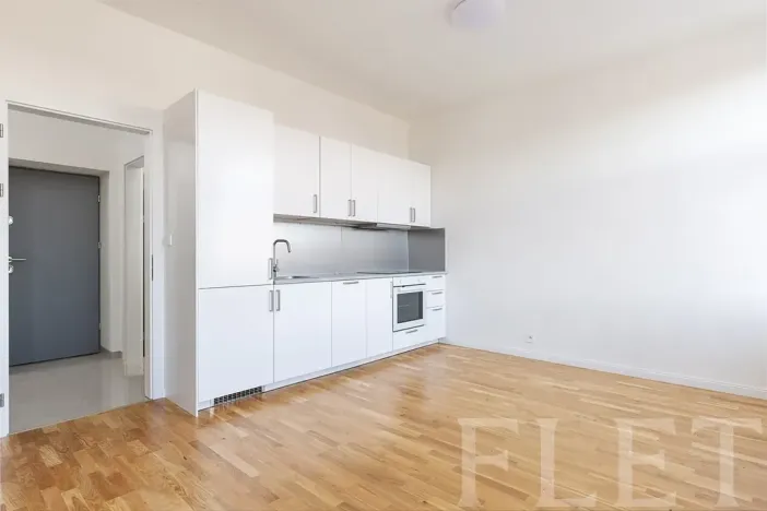 Pronájem bytu 1+kk, Praha - Karlín, Vítkova, 29 m2