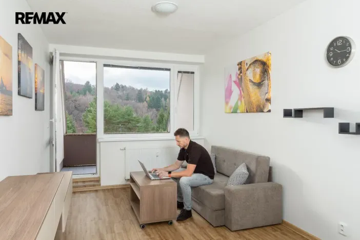 Prodej bytu 2+kk, Všemina, 45 m2
