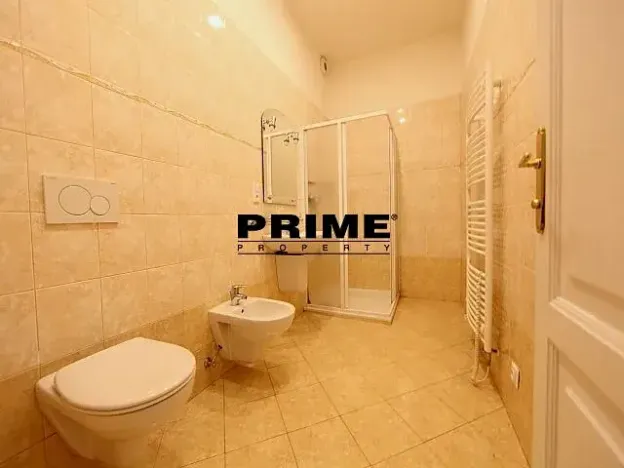 Pronájem bytu 6+kk a větší, Praha - Nové Město, Záhořanského, 265 m2