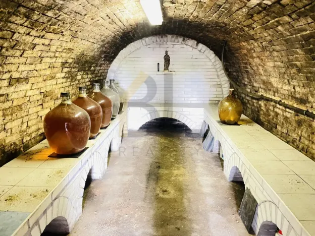 Prodej vinného sklepa, Dolní Bojanovice, Zemačka, 37 m2
