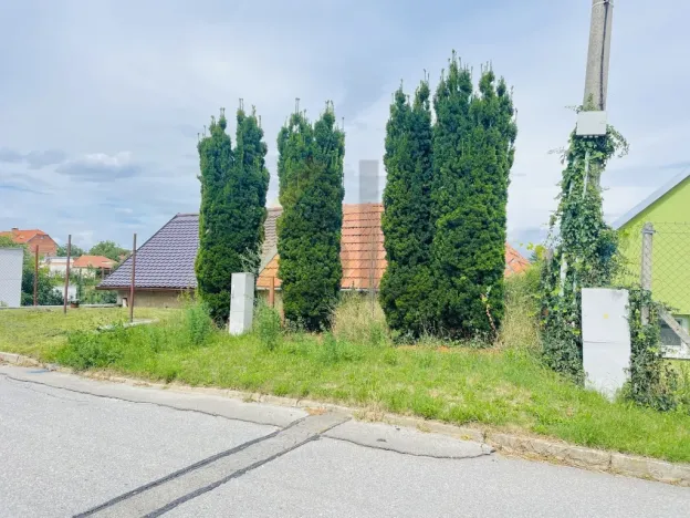 Prodej vinného sklepa, Dolní Bojanovice, Zemačka, 37 m2