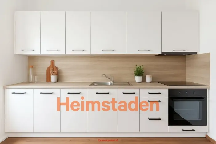 Pronájem bytu 1+1, Ostrava - Moravská Ostrava, Poděbradova, 51 m2