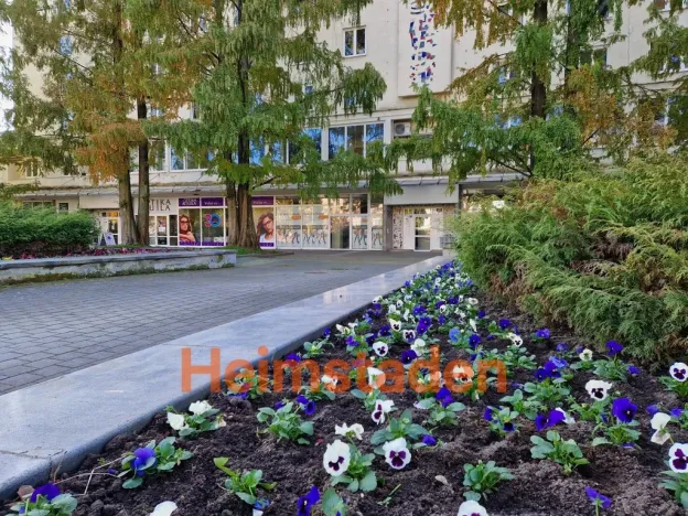 Pronájem obchodního prostoru, Havířov - Město, nám. Republiky, 66 m2