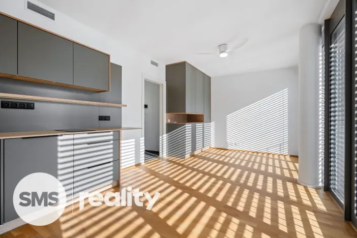 Pronájem bytu 1+kk, Ostrava - Moravská Ostrava, Pivovarská, 32 m2