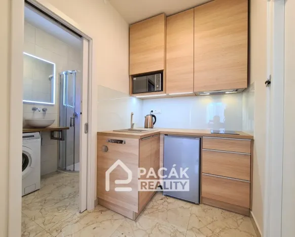 Pronájem bytu 1+1, Olomouc - Hodolany, Masarykova třída, 30 m2