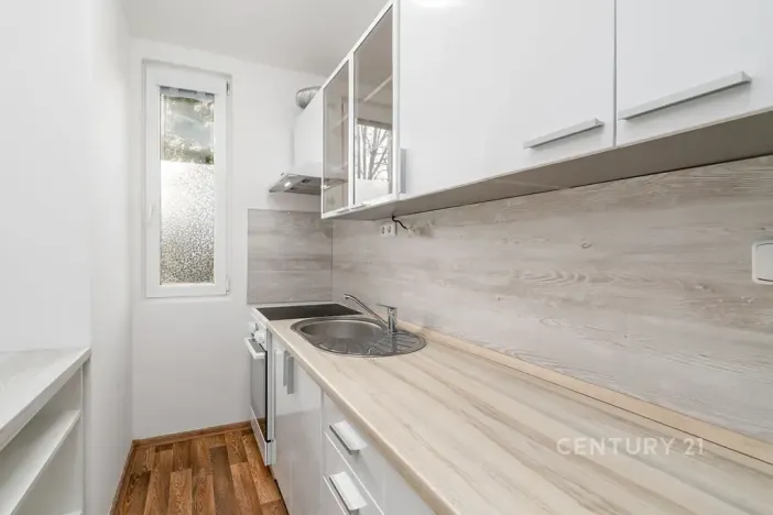 Prodej bytu 1+1, Děčín, Růžová, 35 m2