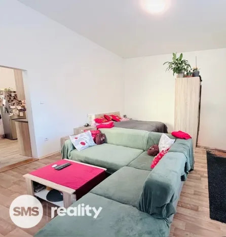 Pronájem bytu 1+1, Opava, Pekařská, 50 m2