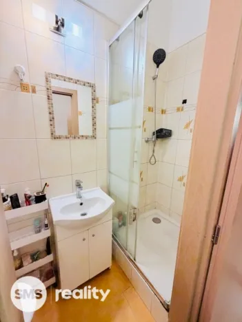 Pronájem bytu 1+1, Opava, Pekařská, 50 m2