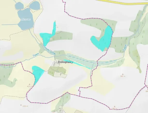 Prodej podílu lesa, Neveklov, 7656 m2
