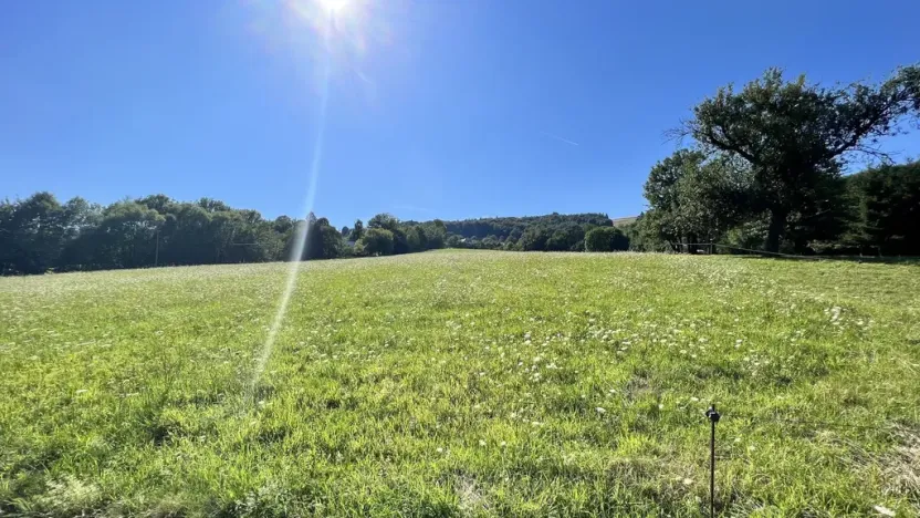 Prodej pozemku pro bydlení, Vyškovec, 5950 m2