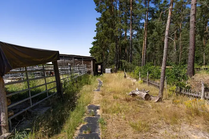 Prodej louky, Doksy, 46765 m2