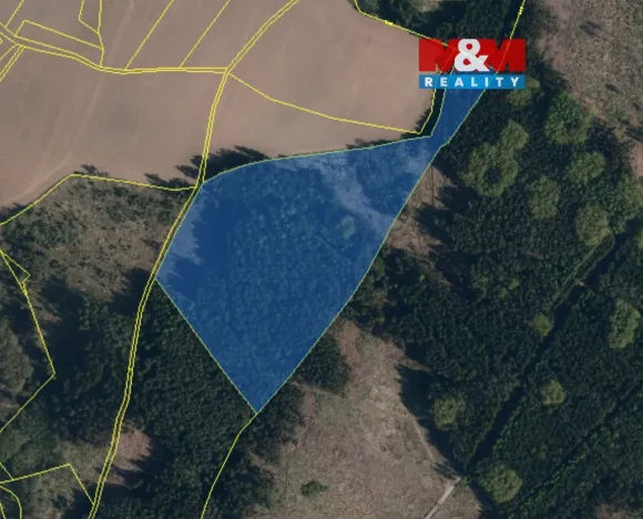 Prodej lesa, Bohdalov, 34642 m2