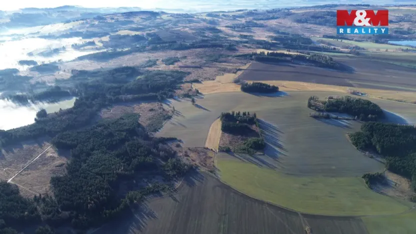 Prodej lesa, Bohdalov, 34642 m2