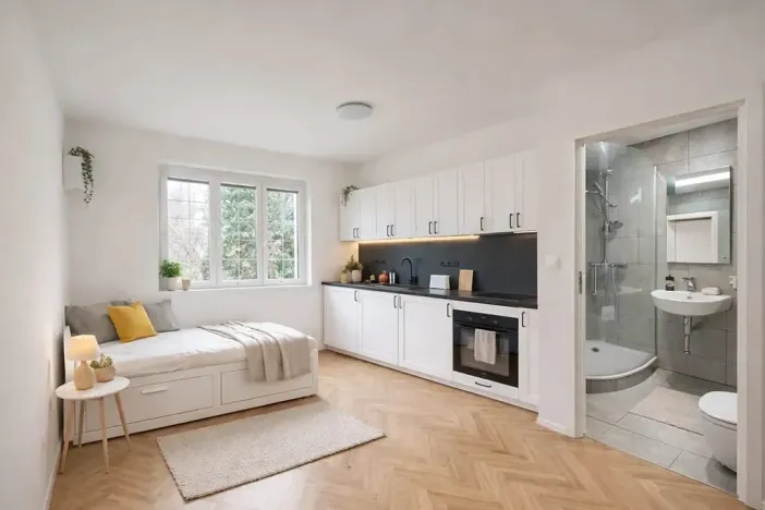 Pronájem bytu 1+kk, Praha, 17 m2