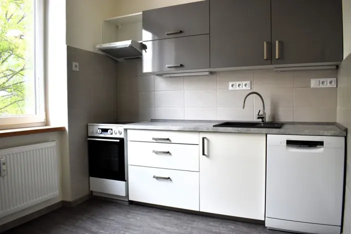 Pronájem bytu 2+1, Plzeň - Východní Předměstí, Krejčíkova, 62 m2