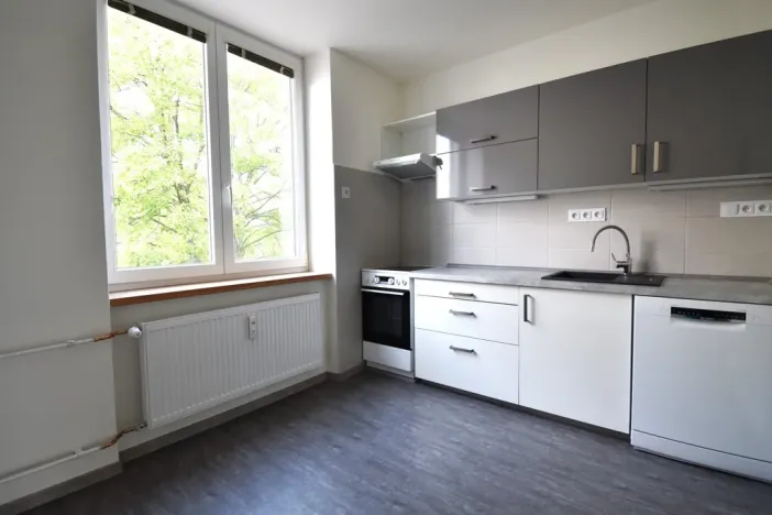 Pronájem bytu 2+1, Plzeň - Východní Předměstí, Krejčíkova, 62 m2