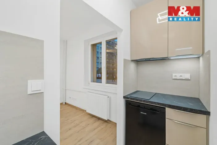 Prodej bytu 1+1, Mladá Boleslav - Mladá Boleslav III, Jilemnického, 23 m2