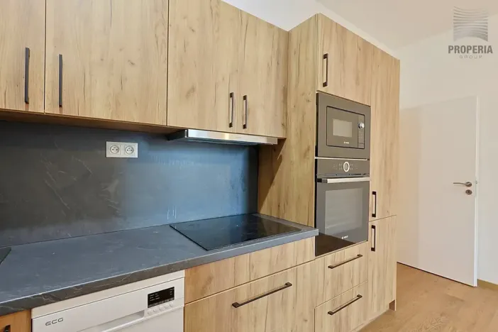 Pronájem bytu 2+kk, Brno, Stavební, 41 m2