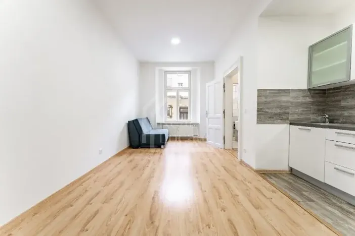 Pronájem bytu 1+1, Praha - Nusle, Oldřichova, 48 m2