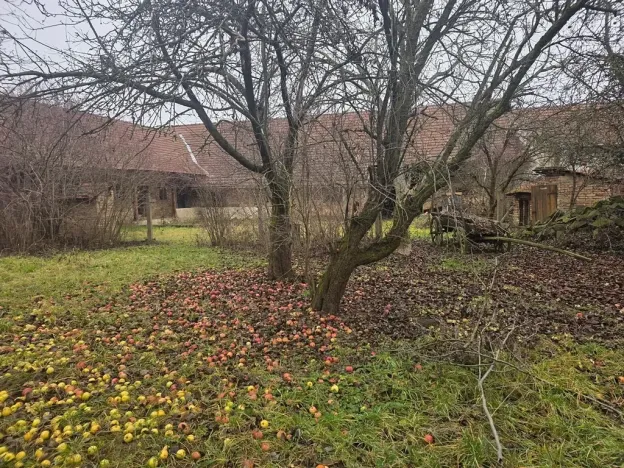 Prodej rodinného domu, Milonice, 100 m2