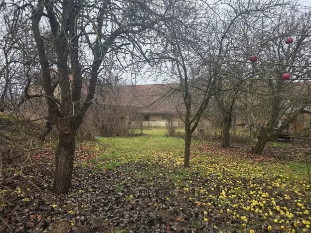 Prodej rodinného domu, Milonice, 100 m2