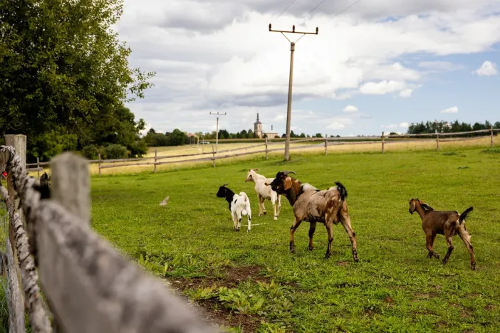 Prodej rodinného domu, Litíč, 60 m2