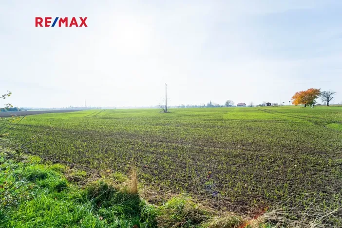 Prodej pozemku pro bydlení, Všechlapy, 9214 m2