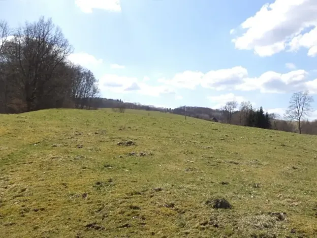 Dražba louky, Heřmanov, 4633 m2