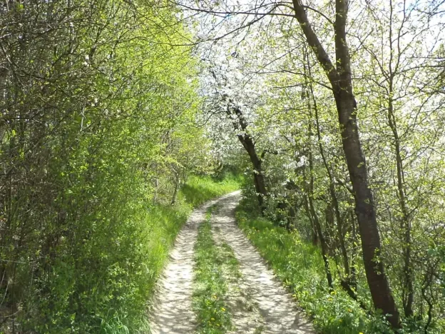 Dražba pozemku, Vítkov, 3225 m2