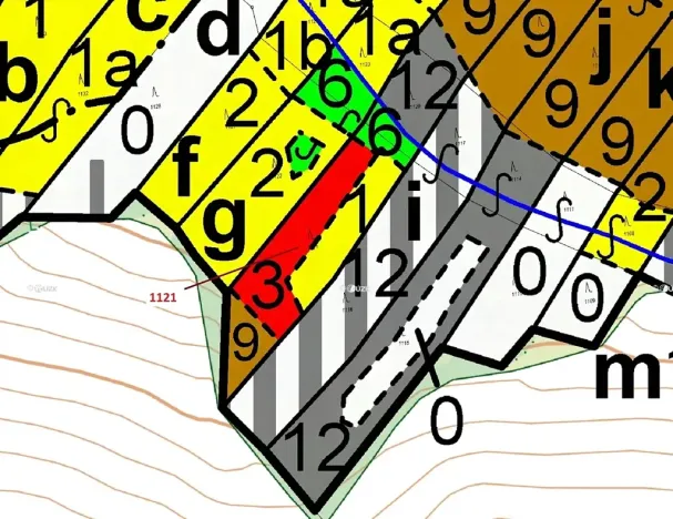 Dražba lesa, Náměšť nad Oslavou, 2998 m2