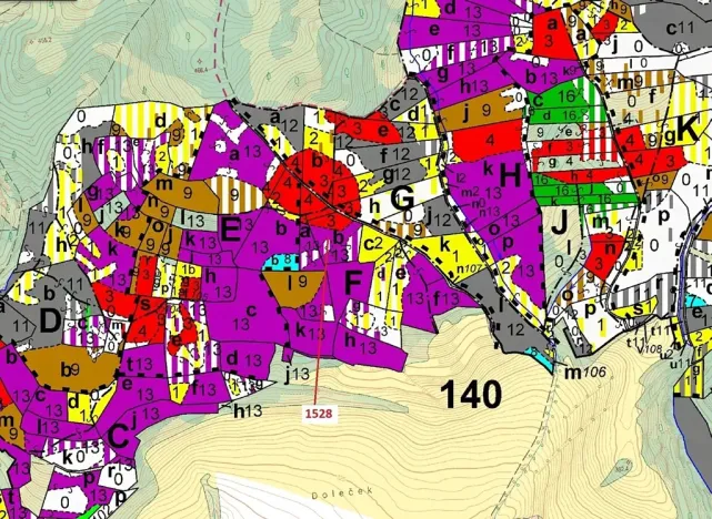 Dražba lesa, Vranová Lhota, 5323 m2