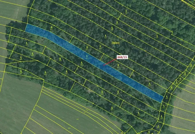 Dražba lesa, Milavče, 4689 m2