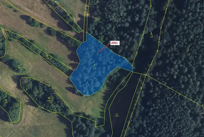 Dražba lesa, Žďárec, 2873 m2