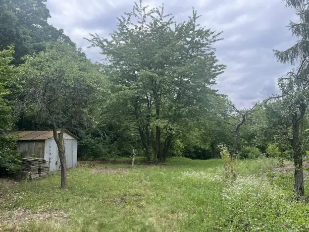 Pronájem sadu/vinice, Praha - Točná, Ke starému hřišti, 3842 m2