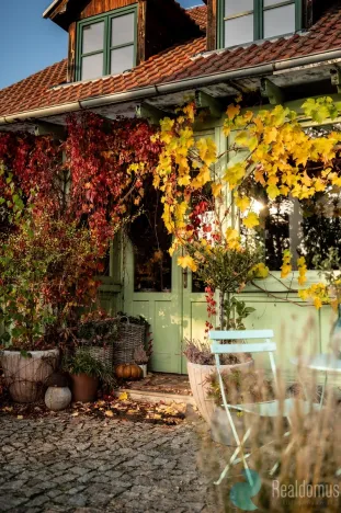 Pronájem restaurace, Protivín - Chvaletice, 320 m2