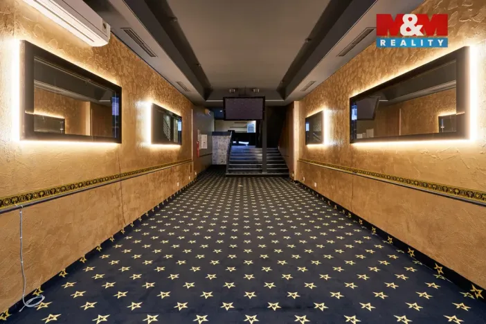 Pronájem obchodního prostoru, Uherský Brod, Moravská, 205 m2