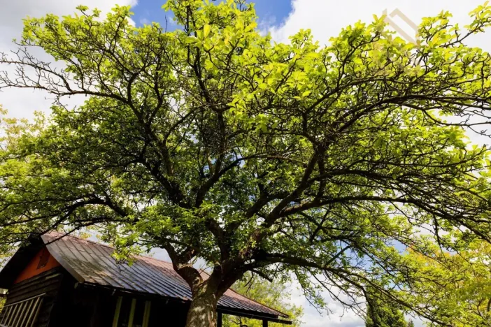 Prodej chaty, Děčín - Děčín VI-Letná, 544 m2
