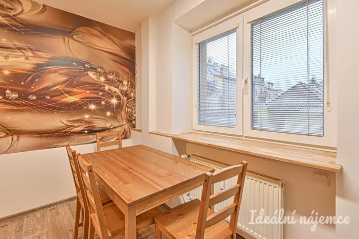 Pronájem bytu 1+1, Brno, Sibiřská, 28 m2