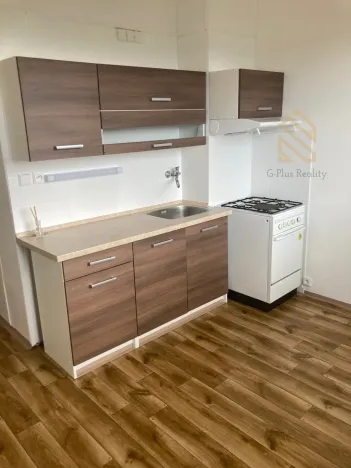 Prodej bytu 1+1, Ústí nad Labem, Stavbařů, 42 m2