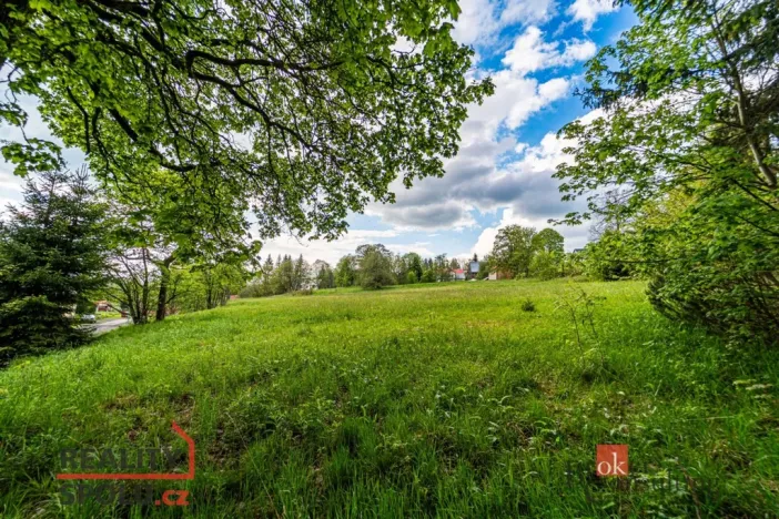 Prodej pozemku pro bydlení, Horní Blatná, Hamerská, 9951 m2